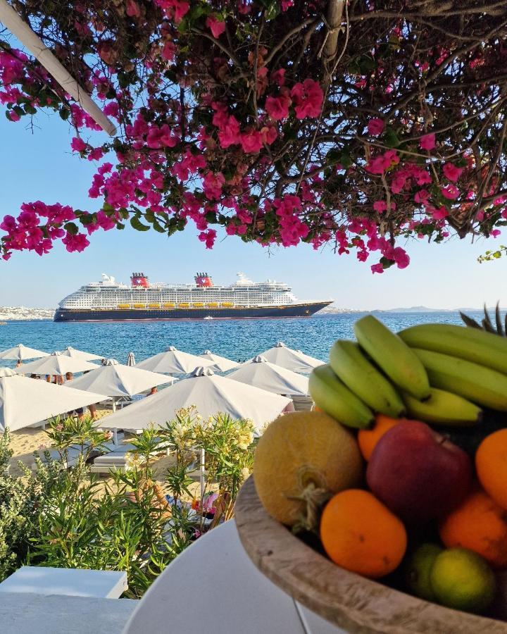Sikate Hospitality Διαμέρισμα Mykonos Town Εξωτερικό φωτογραφία